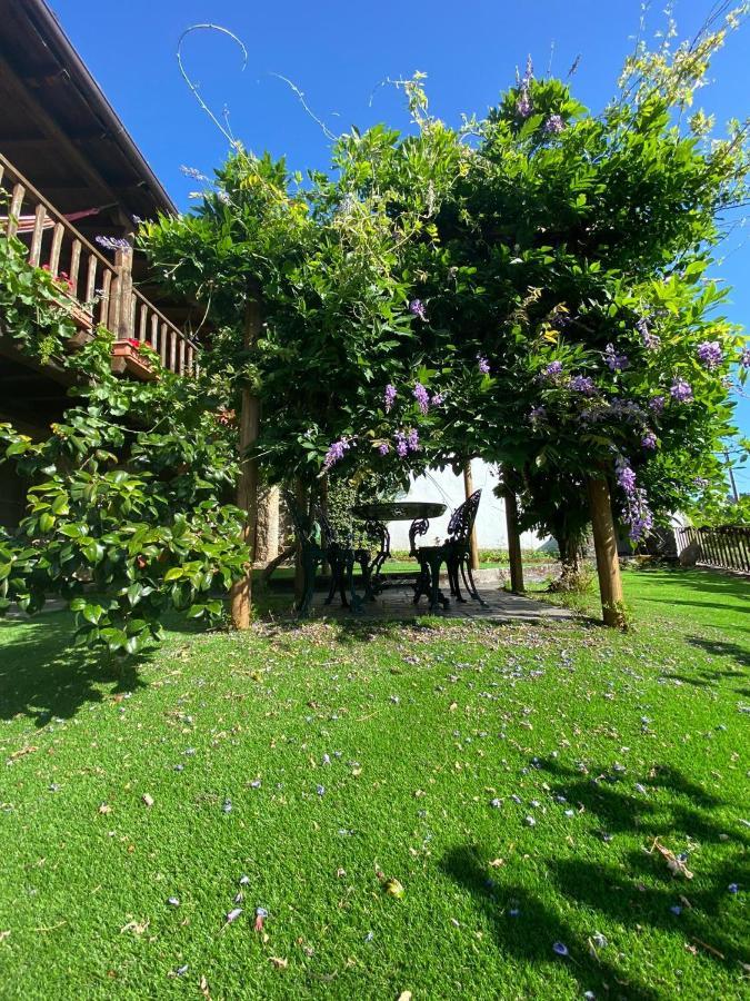 منزل الضيف براغانسا  في Casa Do Pomar المظهر الخارجي الصورة